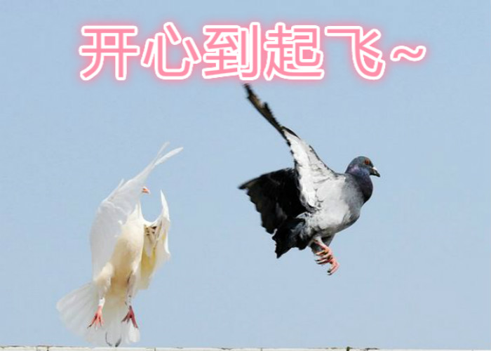 如何正确表达"开心到起飞"